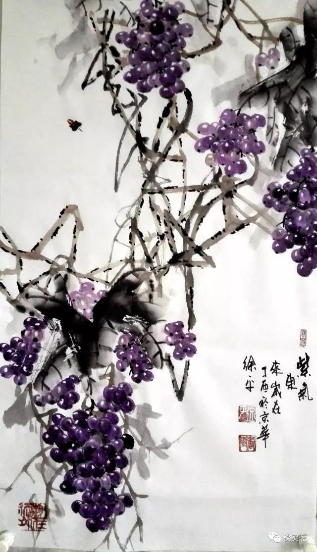 意境高雅、清新水墨葡萄---徐平