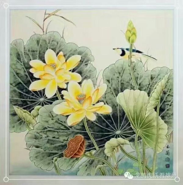 ӦμӼ鵮118黭ʻ